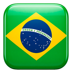 Novo Brasil